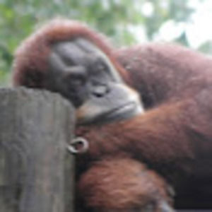 Meet your Posher, Scott